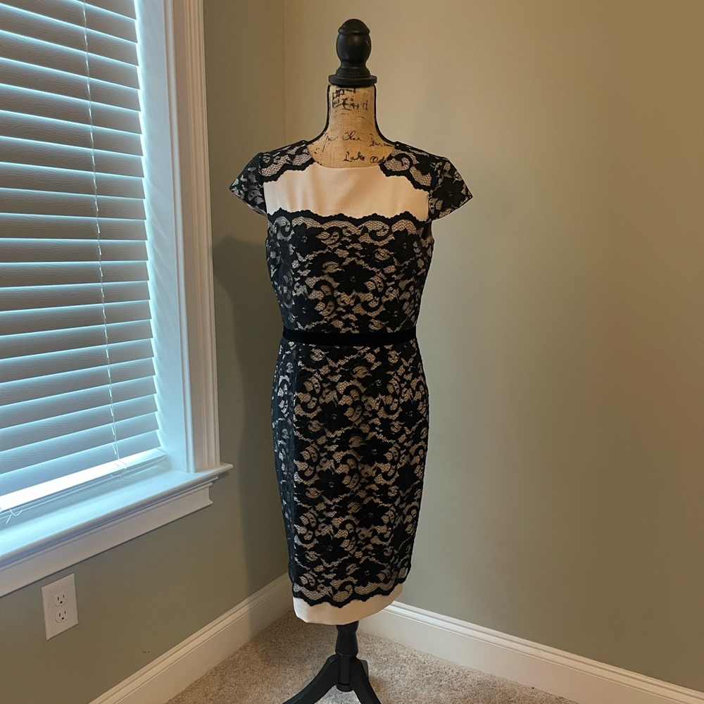 Antonio Melani Dress, Size 10, worn twice! Excellent condition.